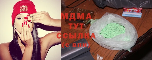 прущие грибы Белокуриха