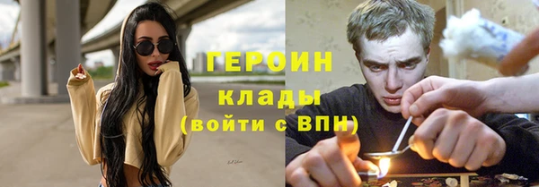 прущие грибы Белокуриха