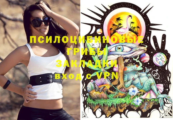 прущие грибы Белокуриха