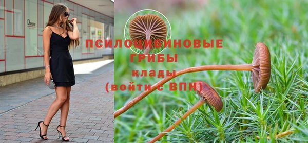 крисы Белоозёрский