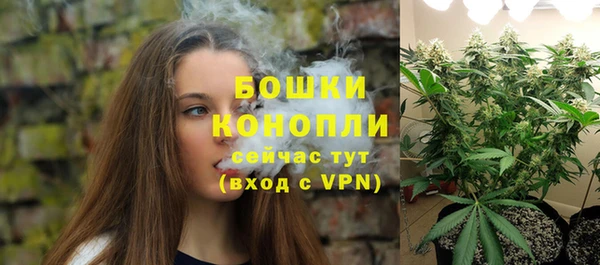 прущие грибы Белокуриха