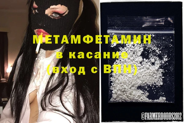 прущие грибы Белокуриха