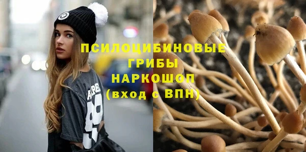 крисы Белоозёрский