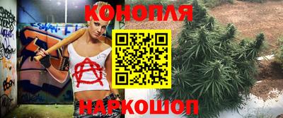 PSILOCYBIN Будённовск