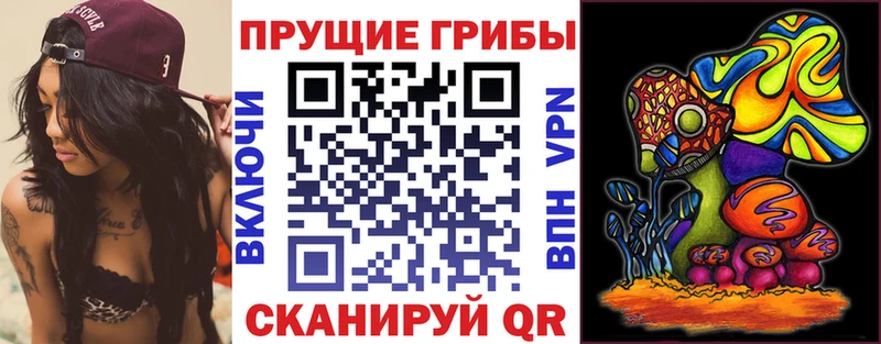 Псилоцибиновые грибы мицелий  где продают наркотики  блэк спрут ссылки  Вязники 