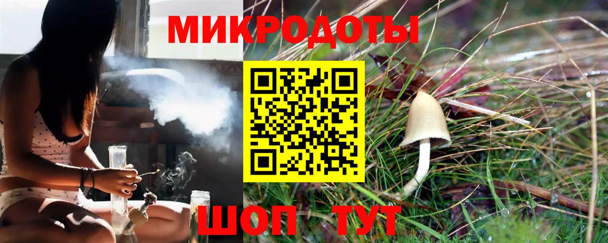 Псилоцибиновые грибы Psilocybe  Вязники 