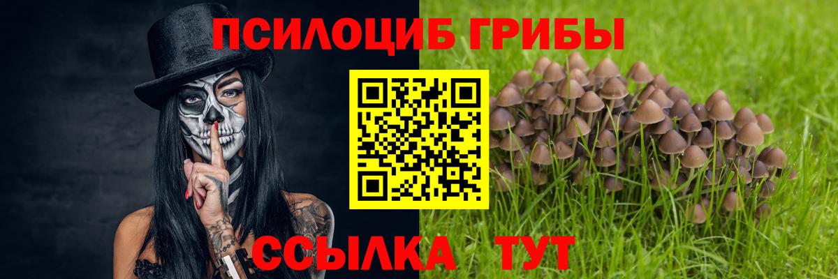 Вязники  Псилоцибиновые грибы Psilocybine cubensis  Вход с VPN  Галлюциногенные грибы MAGIC MUSHROOMS 