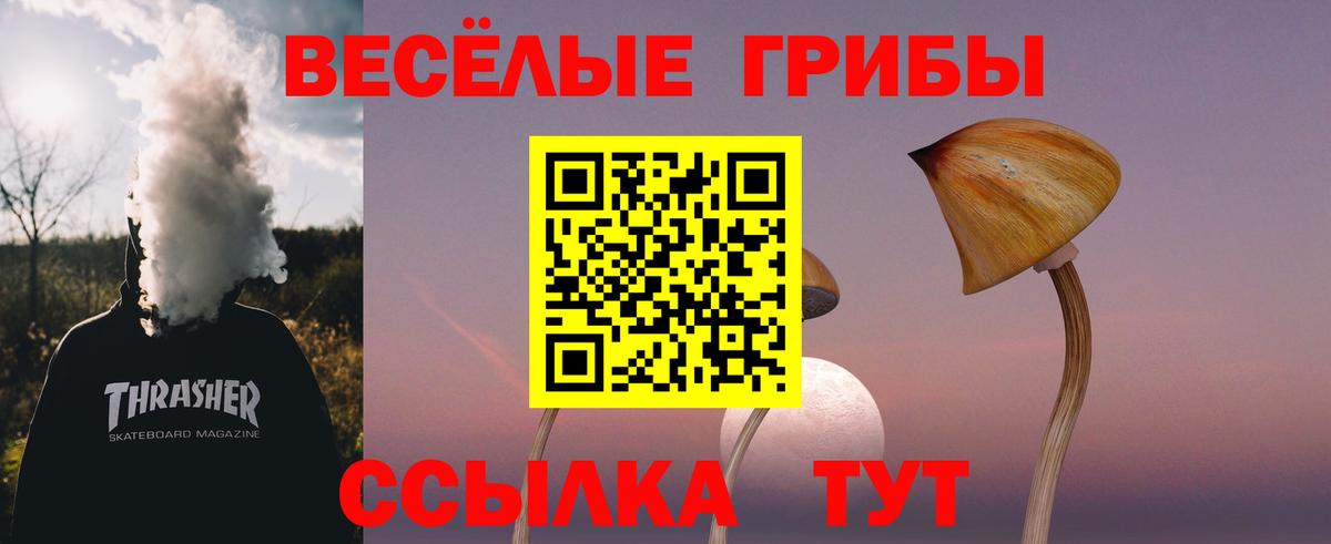 Галлюциногенные грибы GOLDEN TEACHER Вязники